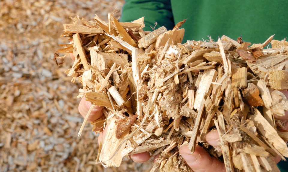 02_Kollektionen/Lösungen